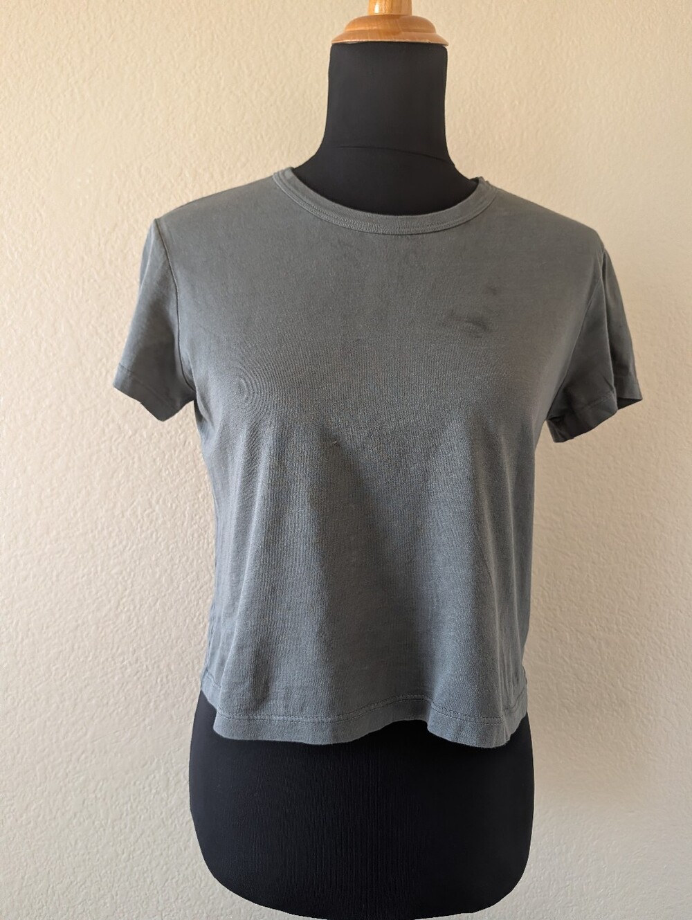 Buck Mason Women's Grey Pima Cotton Crop Crewneck Tee S NWOT